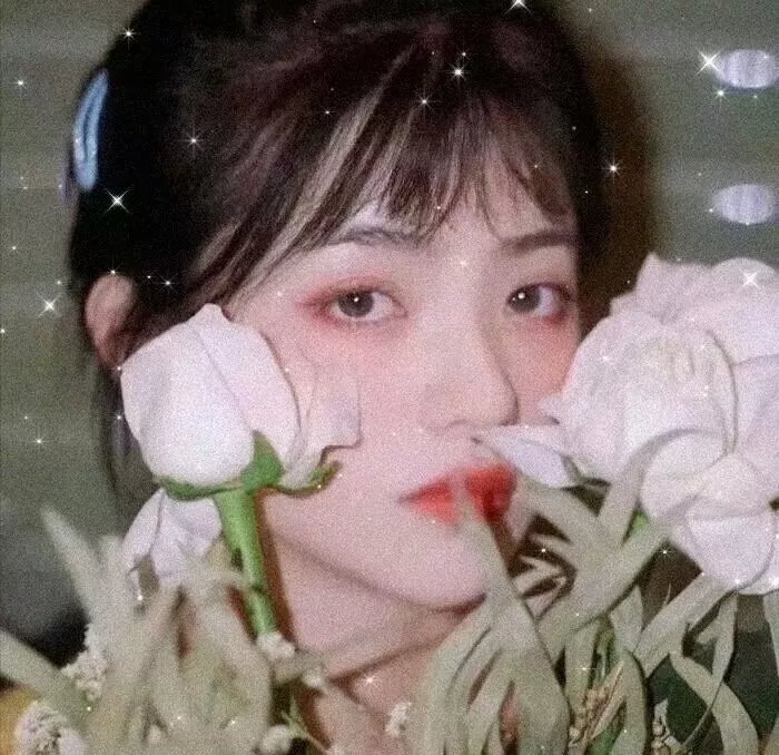 沙皇的信使